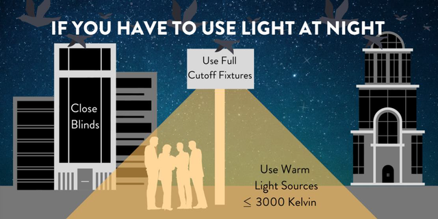 If you have to use light at night, use full cutoff fixtures, close blinds, and use warm light sources less than 3000 Kelvin.